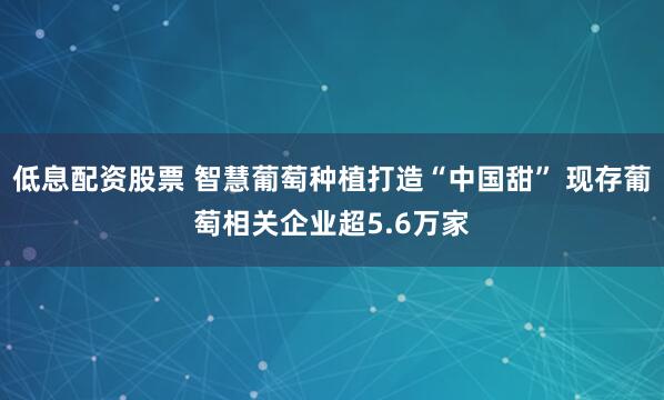 低息配资股票 智慧葡萄种植打造“中国甜” 现存葡萄相关企业超5.6万家