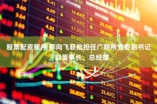 股票配资程序 邢向飞获批担任广期所党委副书记、副董事长、总经理